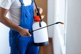 Best Pest Prevention Services  in Port Lavaca, TX